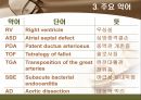 [해부학 A+] 심혈 관계(Cardiovascular System) 용어 정의 및 분석 37페이지