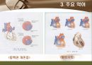 [해부학 A+] 심혈 관계(Cardiovascular System) 용어 정의 및 분석 38페이지