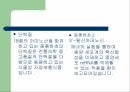 [식품과 영양 A+] 동충하초의 영양 성분 및 효능에 대한 분석 9페이지