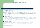 [식품과 영양 A+] 동충하초의 영양 성분 및 효능에 대한 분석 16페이지