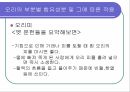 [식품과 영양 A+] 오리의 영양 성분 및 효능에 대한 분석 12페이지
