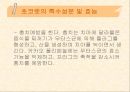 [식품영양] 초콜릿의 성분 및 효능에 대한 분석 10페이지