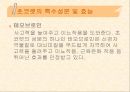 [식품영양] 초콜릿의 성분 및 효능에 대한 분석 11페이지