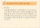 [식품영양] 초콜릿의 성분 및 효능에 대한 분석 12페이지