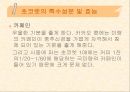[식품영양] 초콜릿의 성분 및 효능에 대한 분석 13페이지