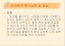 [식품영양] 초콜릿의 성분 및 효능에 대한 분석 14페이지