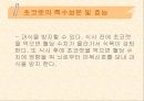 [식품영양] 초콜릿의 성분 및 효능에 대한 분석 15페이지