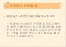 [식품영양] 초콜릿의 성분 및 효능에 대한 분석 22페이지