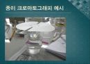 [실험생화학] 2차원 종이 크로마트그래피 원리 및 실험 방법 9페이지