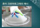 [실험생화학] 2차원 종이 크로마트그래피 원리 및 실험 방법 13페이지