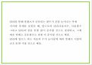 창업계획서 - SNS 사진정리 및 포토북 제작 어플리케이션 개발 사업계획서 12페이지