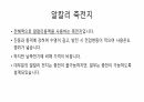 축전지에 대하여 발표 8페이지