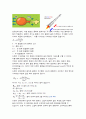 A+] 뉴턴의 법칙에 대하여 설명하시오. 4페이지