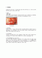 여성간호실습 자궁근종(uterine myoma), 자궁경부암(cervical cancer) 질병고찰(질병연구, 질병보고서, 문헌고찰) A+ 15페이지