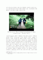 [환경교육론] 지구를 지키기 위한 세계환경교육 중 가정교육을 실천하기 위해 필요한 부분을 탐색하여 우리나라에 접목할 부분을 제시하시오 4페이지