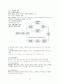 발달심리학 총정리 31페이지