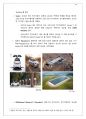 [A+ 레포트] 전기자동차와 이차전지의 현황 및 시장 전망 18페이지