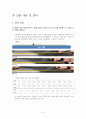    실험1. 속력측정 A+ 결과보고서 4페이지