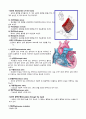 심장 공부하기 2 2페이지