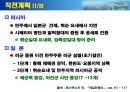 청일 러일전쟁 분석 26페이지