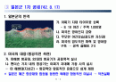 태평양전쟁의 과달카날 전투(항공전력 중심으로) 5페이지