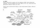 사회복지 실천의 과정 정리 16페이지