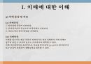 치매노인가족 정의 및 이해 4페이지