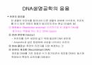 DNA생명공학 및 실험
 2페이지