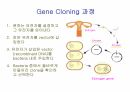 DNA생명공학 및 실험
 14페이지