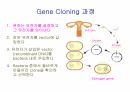 DNA생명공학 및 실험
 20페이지