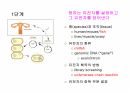 DNA생명공학 및 실험
 21페이지