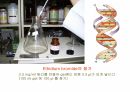 DNA생명공학 및 실험
 43페이지