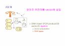 DNA생명공학 및 실험
 65페이지