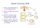 DNA생명공학 및 실험
 67페이지