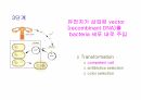 DNA생명공학 및 실험
 68페이지