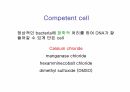 DNA생명공학 및 실험
 69페이지