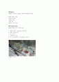 PCR 실험 보PCR 실험 보고서고서 9페이지