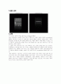 PCR 실험 보PCR 실험 보고서고서 12페이지