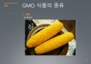 GMO란? (유전자변형) 22페이지