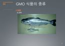 GMO란? (유전자변형) 30페이지