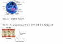 수산생물내분비학 2페이지