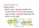 수산생물내분비학 24페이지