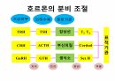 수산생물내분비학 34페이지