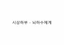 수산생물내분비학 35페이지