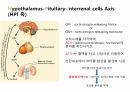 수산생물내분비학 64페이지