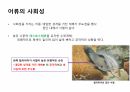 수산생물내분비학 70페이지