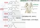 수산생물내분비학 72페이지