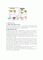 줄기세포 동향과 활용에 대한 찬성, 반대 의견 레포트 3페이지