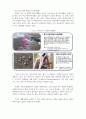 UN의 지속가능 개발목표와 환경오염에 대한 청소년의 실천안 13페이지