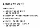 일본 경제의 몰락 14페이지